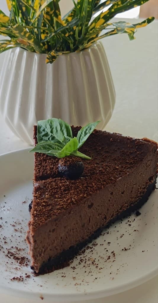 Slice of chocolate mousse cake with blueberry and mint